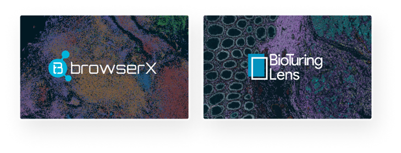3公开研究分析.png