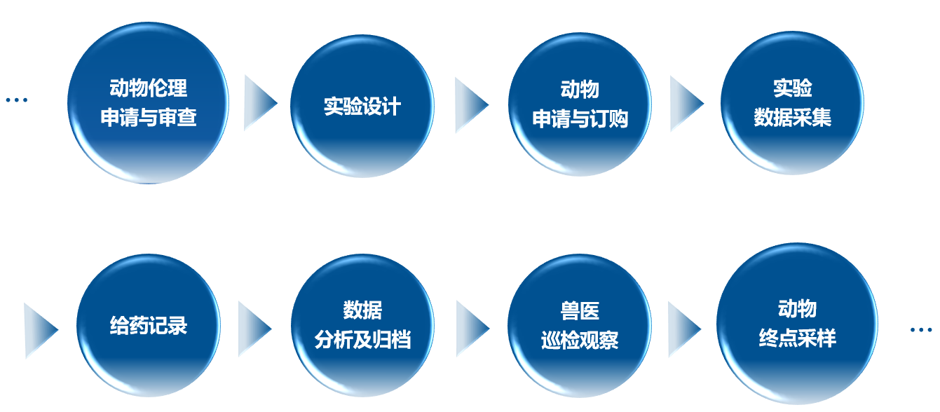 1765524576345131.png 1765524576345131.png