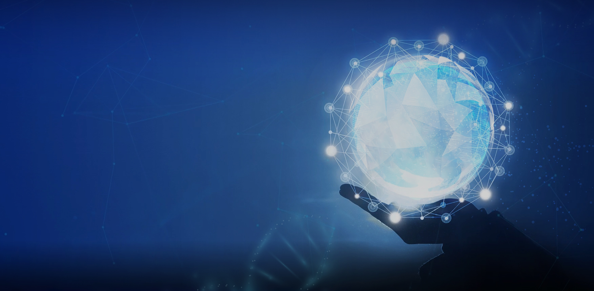 banner2.jpg