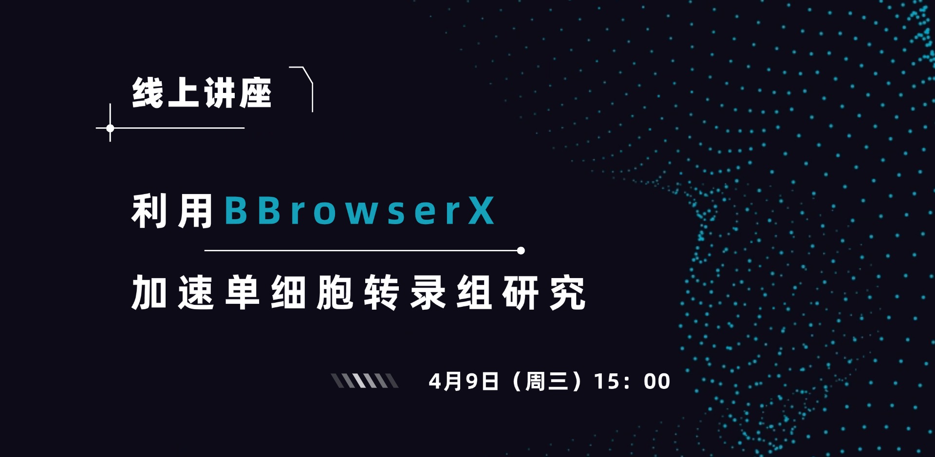 BBX(3).jpg